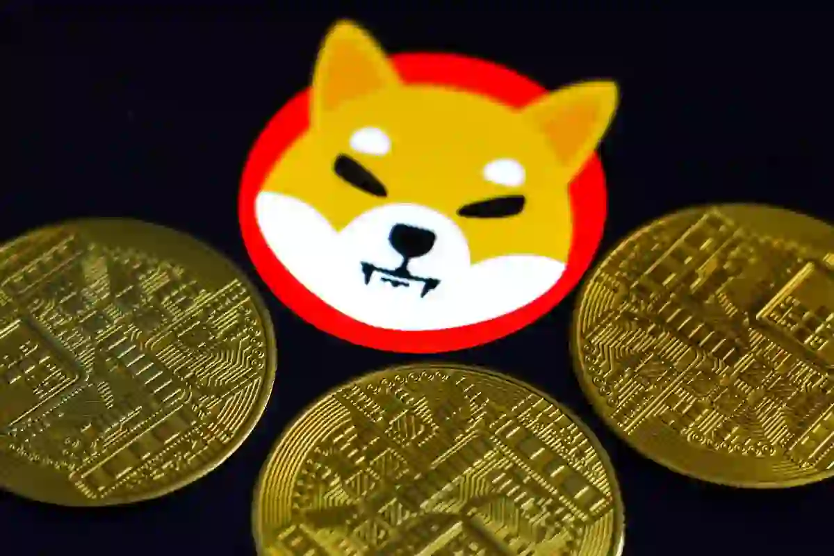 Exploring the Factors Behind the 5% Surge of Dogecoin’s “Killer” Coin