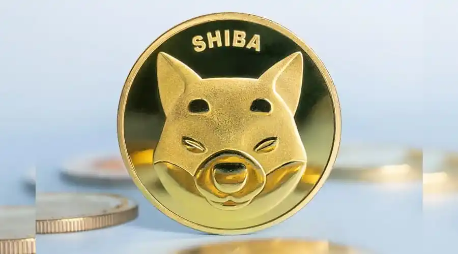 Shiba Inu Faces Challenges Amidst Price Decline and Market Speculation